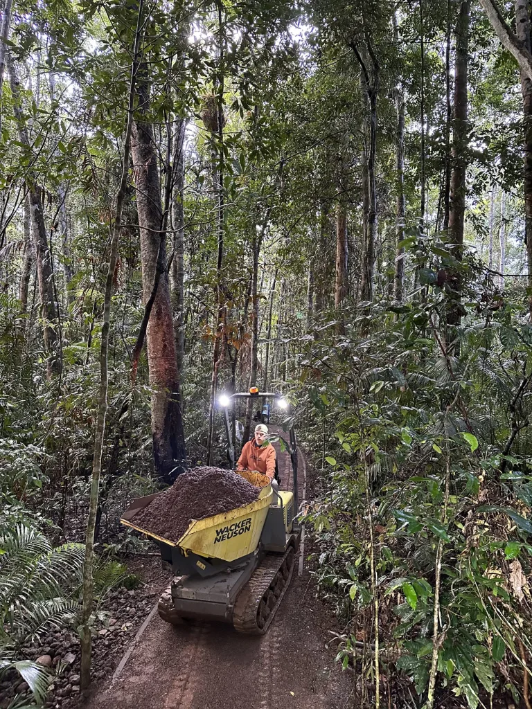 Tracked dumper moving material along a rainforest trail
